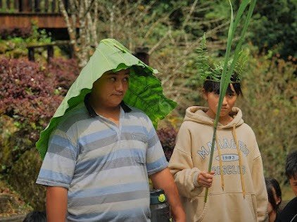 迷糊步道生態解說