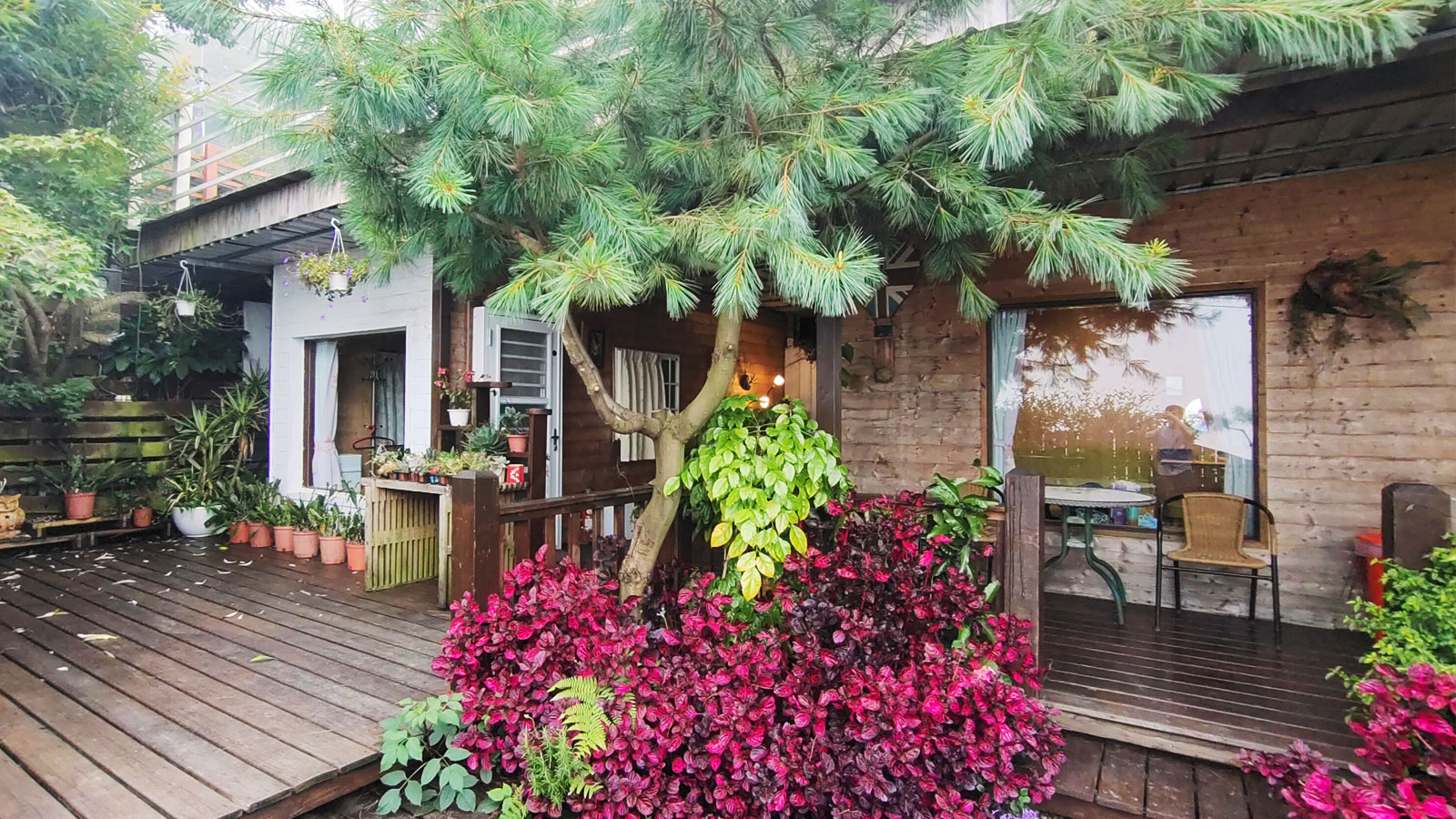 清境眷戀山城  Cingjing B&B 圖片